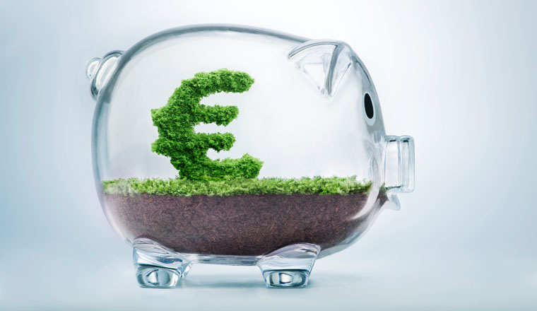 Piggy bank savings concept with grass growing in shape of Euro sign 