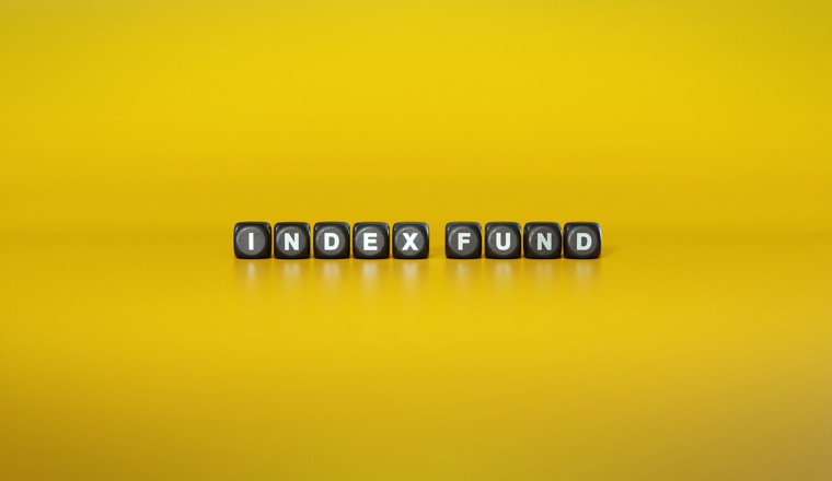 Term ‘Index fund’ spelled out in white text on dark wooden blocks against plain yellow background. 3D rendering