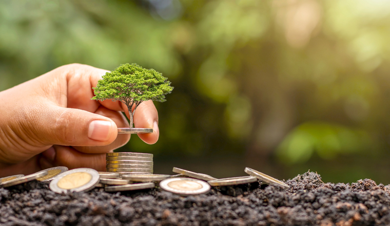 Trees that are growing on the money stack include the hands of investors, financial investment concepts and investment growth.