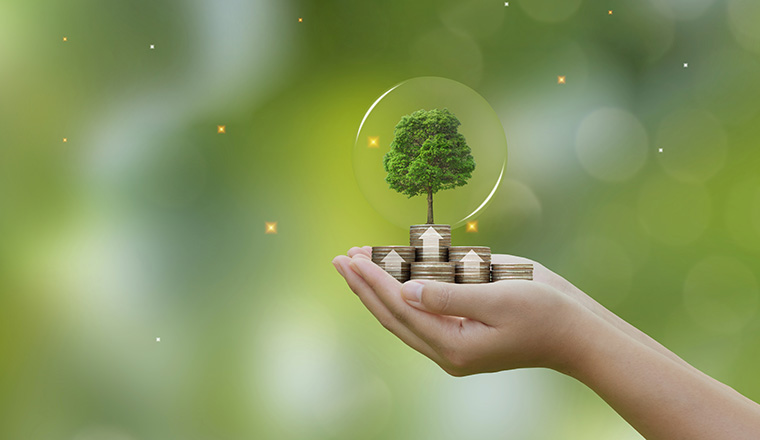 Concept of financial investment, money saving, money growth, business success and eco business investment.hand holding step of coins stacks with tree growing on top in nature green background. 