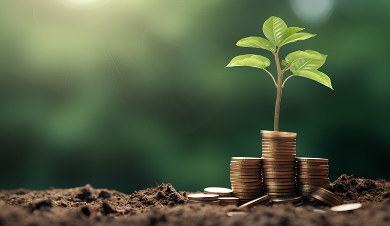 Sprout growing from a pile of coins as green investment and growth of successful, nature friendly business. Financial growth and sustainability with ESG principle based company. Carbon free startup.