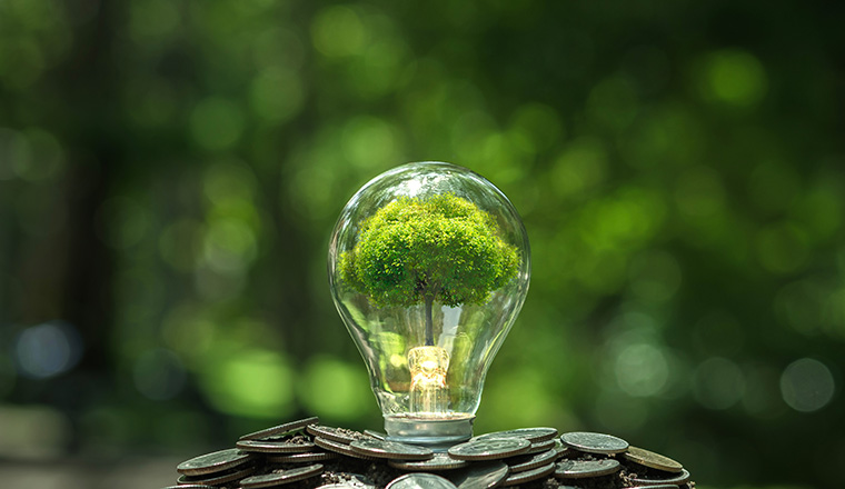 Sprouts and light bulbs on heap of silver coins, green business concept Finance and Investment for Sustainability and Carbon Credit