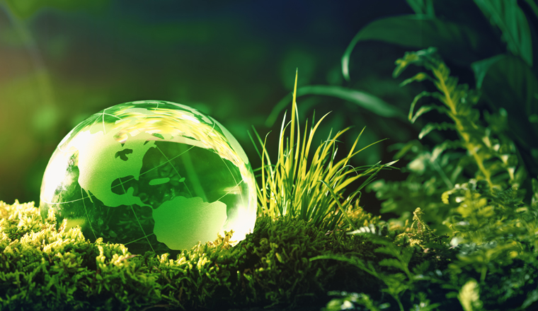 Glass globe on green moss in nature concept for environment and conservation