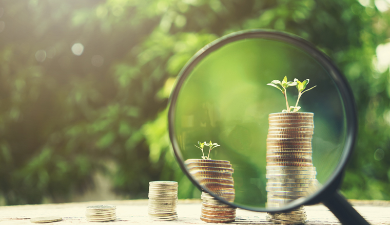 Hand holding magnifying glass with Money growing plant step with deposit coin. Bank and investment business concept.