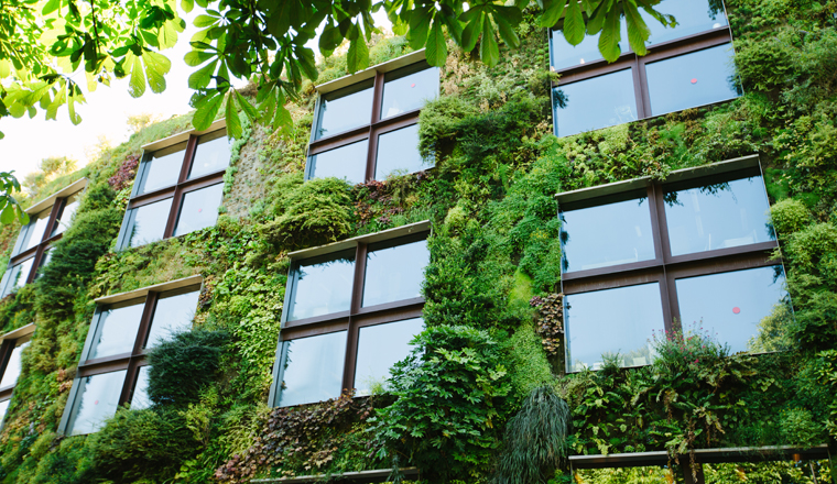 Green architecture concept. Building exterior covered with plants in modern city
