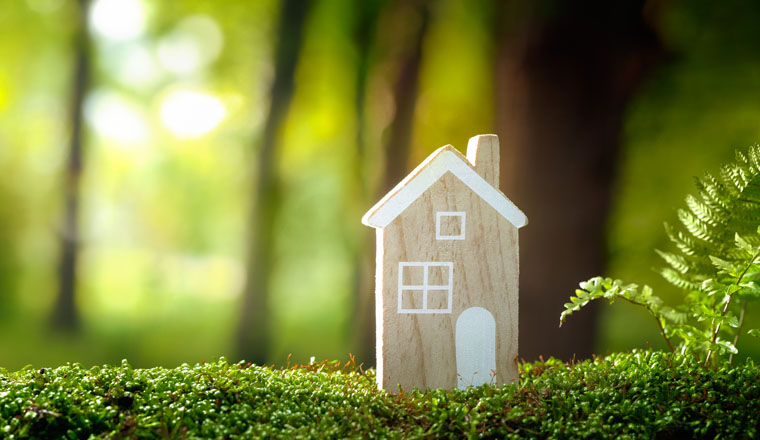 Eco house on moss in forest