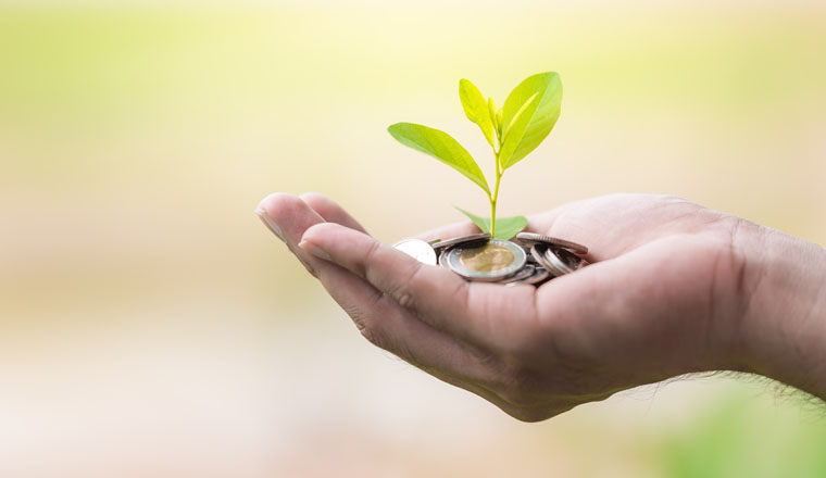 A coins with tree in people hands in saving and growing money concept