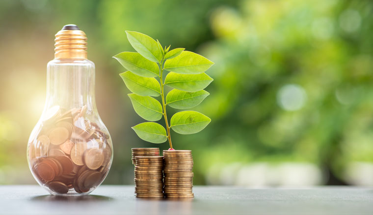 Energy saving. stacks of coins growing in light bulb and tree growing on stacks of coins and tree nature background. Saving, Natural energy and financial concept.