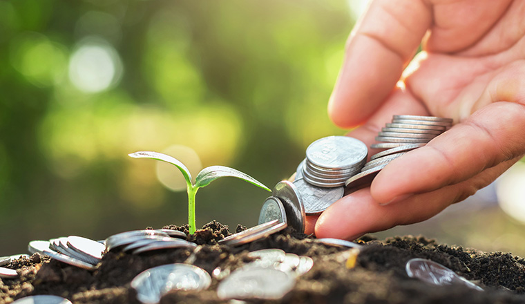 hand holding money puting on soil and young growing with sunshine