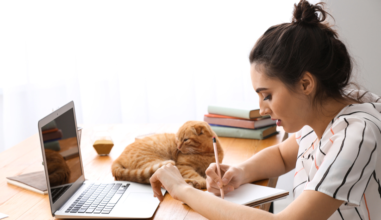 Young woman with cute funny cat working at home