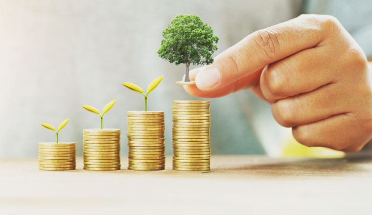  businessman putting money stack with tree growing on table concept saving finance and accounting                              