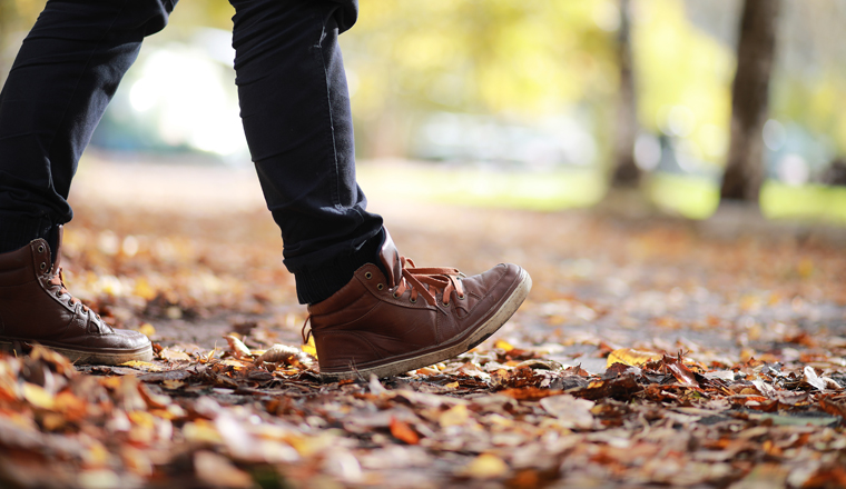 Autumn Park man walking along a path foliage