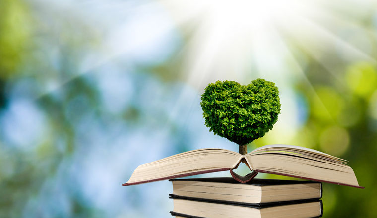 A stylized image of a tree in the shape of a heart on books on a background of a fantastic landscape.