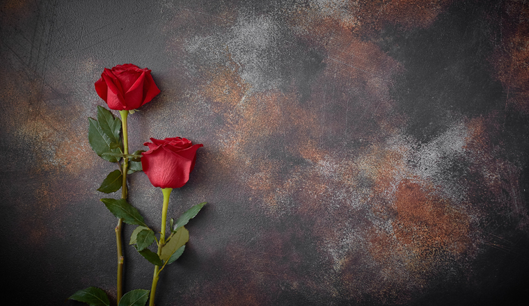 Red roses lie on a textured spotted marble background. A sign of condolence, sympathy for the loss. Space for your text