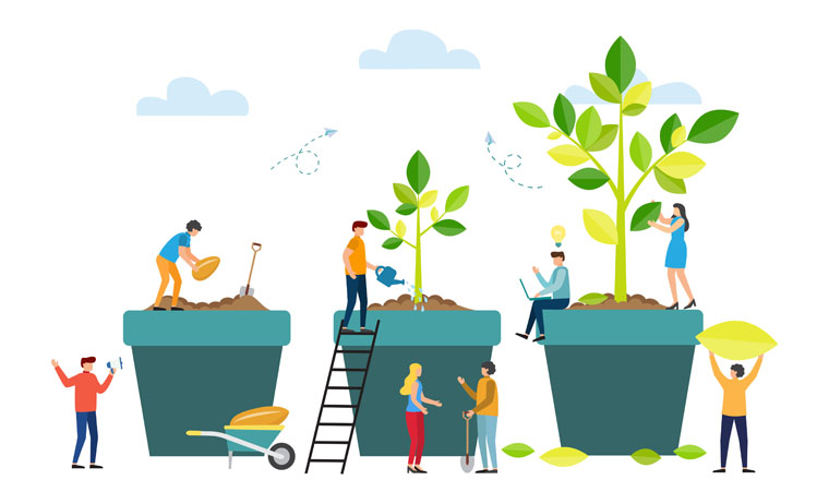 Growth metaphor, grow stages of tree from seed to large plant. Life Cycle. People are watering plants in pots. Vector illustration