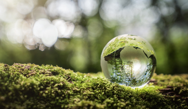 Environment conservation concept. Close up of glass globe in the forest with copy space