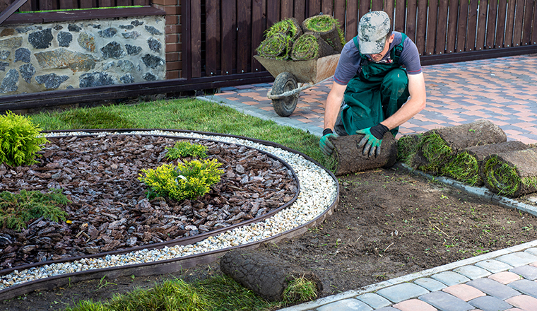 Man laying grass turf rolls for new garden lawn