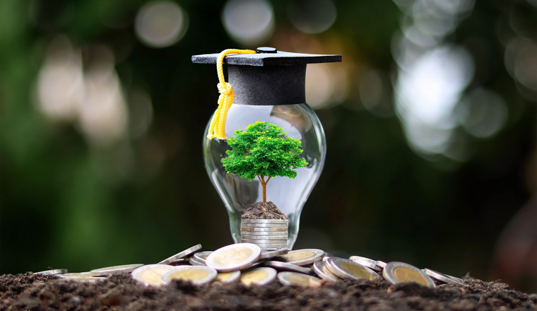 Grow green trees on money in energy-saving light bulbs, including graduation hats, with ideas for economic growth and education.