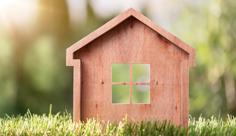 Model house in the meadow with grass