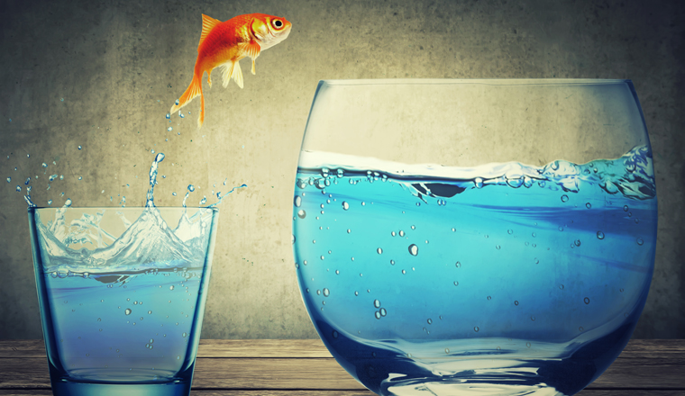 Goldfish jumping out from one small glass cup to another bigger fishbowl aquarium with clear water on dark gray background with vignette. Looking for new opportunities or better life poster concept