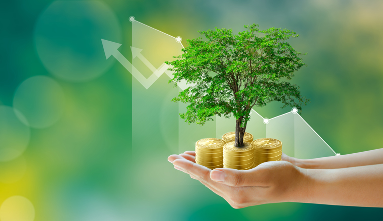 Hand holding Growing tree on coins with stock graph over Green background. Saving ecology, csr green business, business ethics, good governance, investment ideas, and business growth Concept.