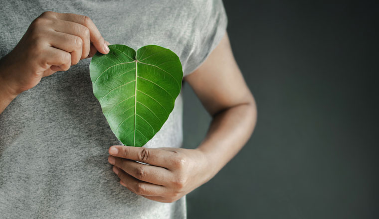 Green Energy, Renewable and Sustainable Resources. Environmental and Ecology Care Concept. Close up of Hand Holding a Heart Shape Green Leaf on Chest