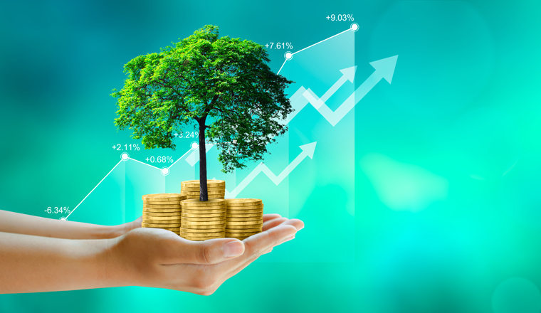 Hand holding Growing tree on coins with stock graph over Green background. Saving ecology, csr green business, business ethics, good governance, investment ideas, and business growth Concept.