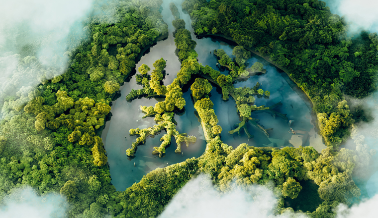 A conceptual image showing a lung-shaped lake in a lush and pristine jungle. 3d rendering.
