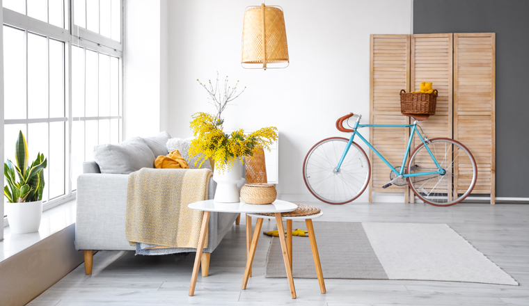 Interior of modern living room with mimosa flowers in vase, sofa and bicycle