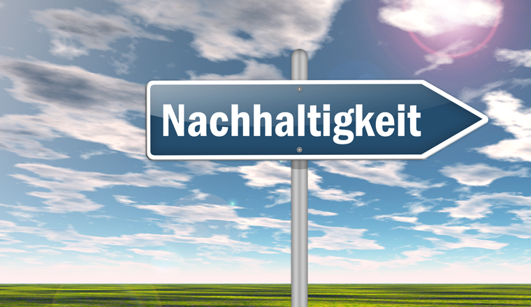 Nachhaltigkeit in die Anlageberatung integrieren: Ein Wegweiser