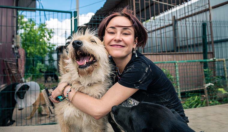 Tier-OP und Tierkrankenversicherung für Hunde und Katzen