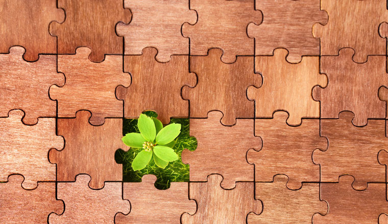 Fresh grass and small plant seen through a missing piece in a jigsaw puzzle