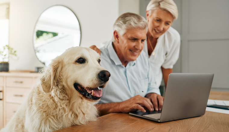 Happy senior couple, laptop and dog at table together in living room. Elderly man and woman research retirement plan or financial asset management on internet in home with cute pet in Switzerland.