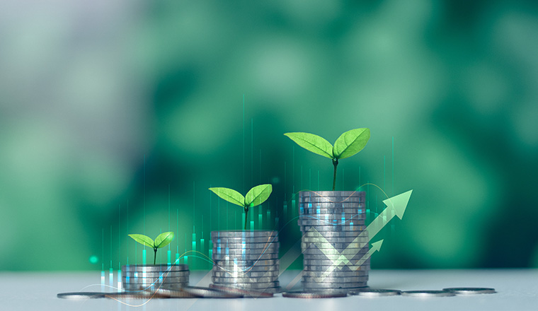 Stacking coins with green bokeh background, Business Finance,e and Money concept Save money for future preparation. Trees growing on the coin