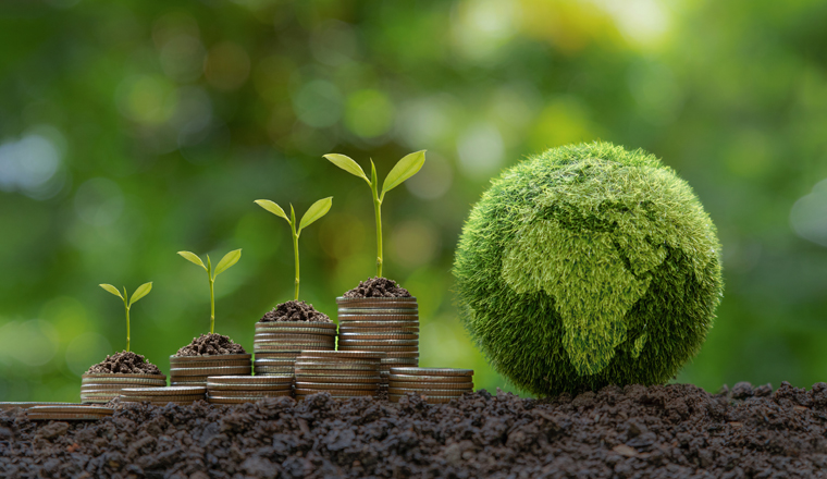 Green Globe with world map and stack of silver coins the seedlings are growing on top. Concept of Green business, finance and sustainability investment. Carbon credit. money saving investment.