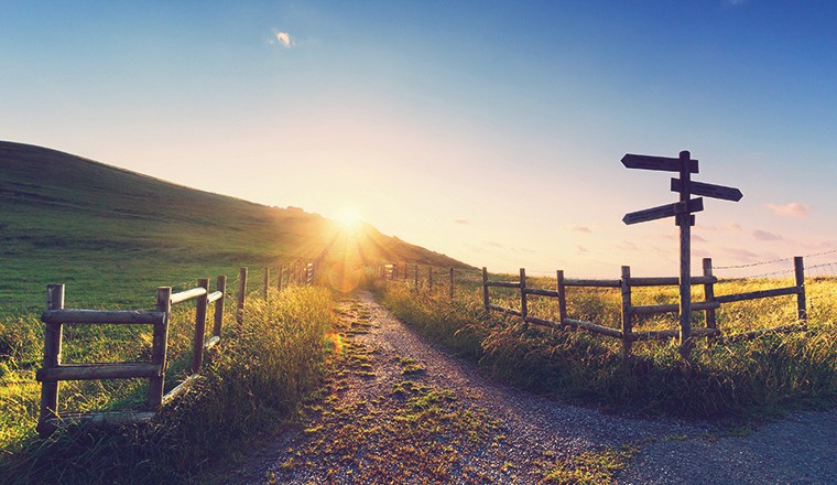 wooden signpost near a path and sunrays