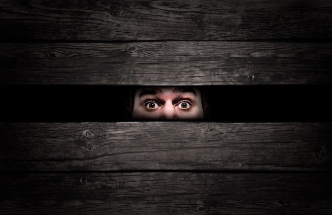 A pair of eyes looking frightened between two planks of a wooden box
