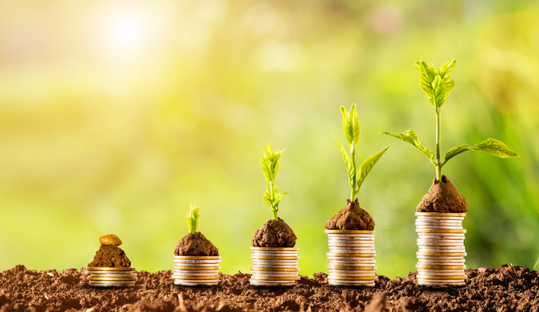 Plant glowing on coins stacking with greenery background and sunlight.Financial and investment concept.
