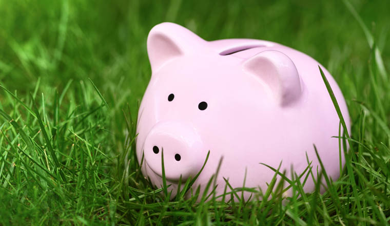.Pink Piggy bank on green grass in summer, copy space. World crisis concept. Banner