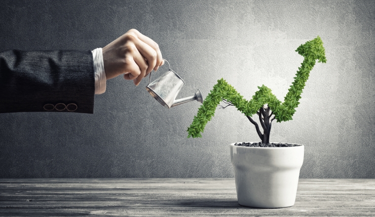 Hand of woman watering small plant in pot shaped like growing graph