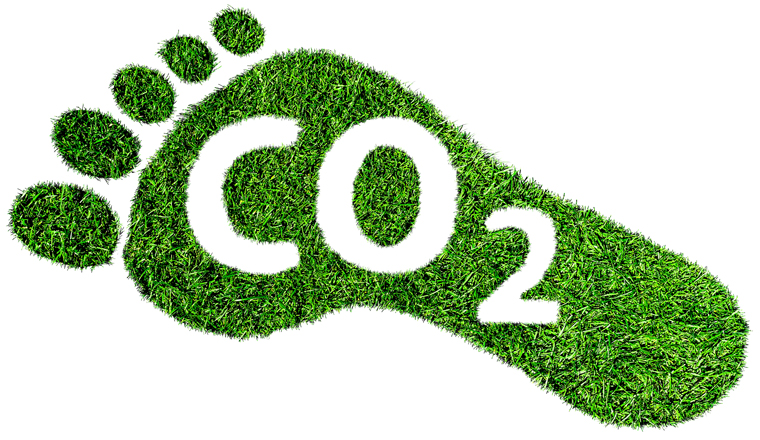 carbon footprint symbol or concept, barefoot footprint made of lush green grass with text CO2