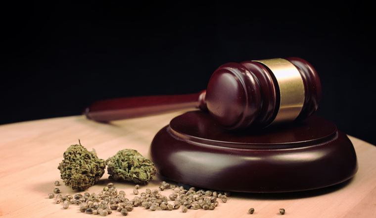 Cannabis, marijuana and hemp products on court table with judges gavel. Illegal crime concept.
Cannabis, marijuana and hemp products on court table with judges gavel. Illegal crime concept.