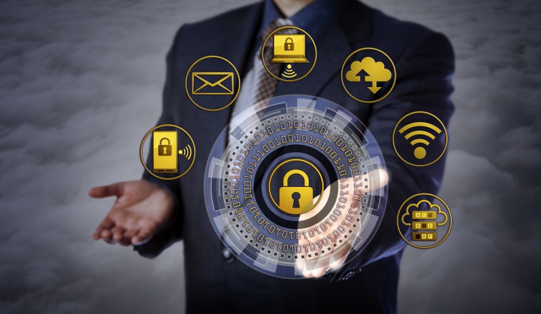 Blue chip manager offering a virtual cyber security mechanism. Concept for computer security applications, encryption, restricted access, protection of personal information, IT security architecture.