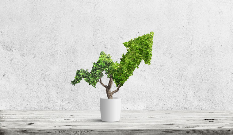 Potted green plant grows up in arrow shape over blue background. Concept business image