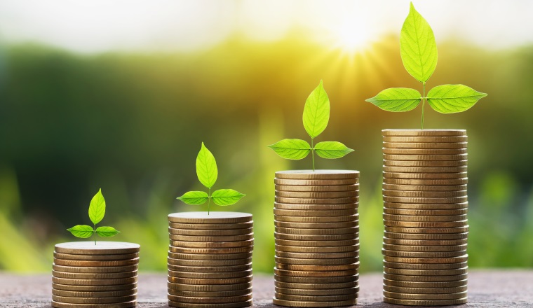 stept growing plant with money stack. finance accounting concept