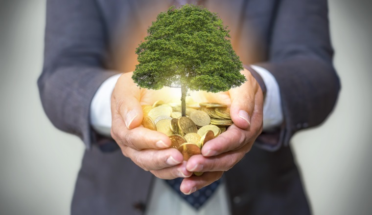 Hands holding a tree growing on coins / csr green business / business ethics / good governance