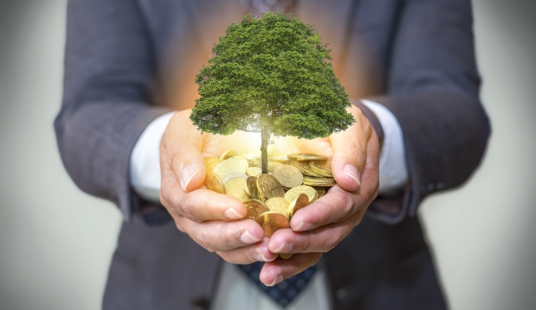 Hands holding a tree growing on coins / csr green business / business ethics / good governance