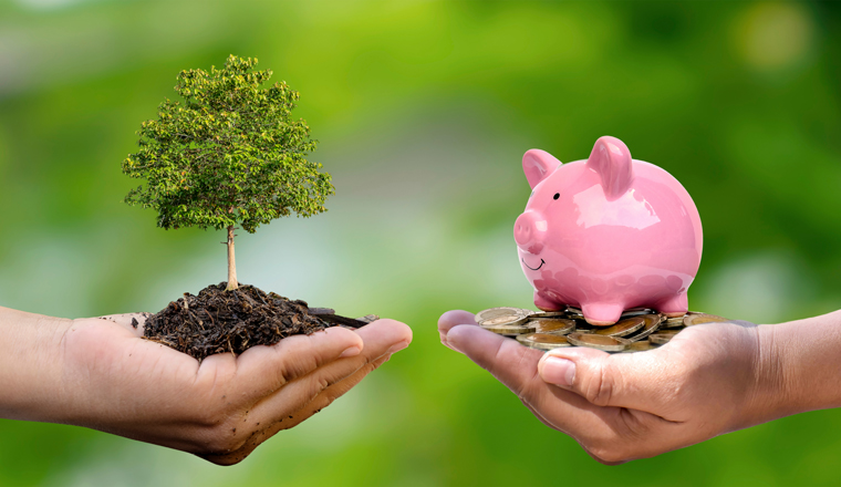 Trees and money in human hands and blurry green nature background. Eco-friendly investment concept.