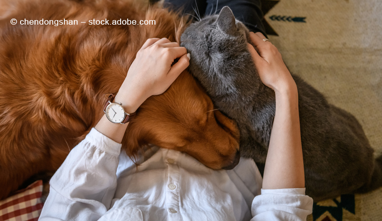 HanseMerkur stellt überarbeitete Tierversicherungen vor