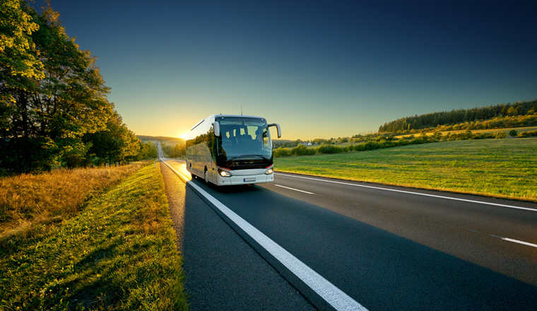 White bus traveling on the asphalt road around line of trees in rural landscape at sunset                               